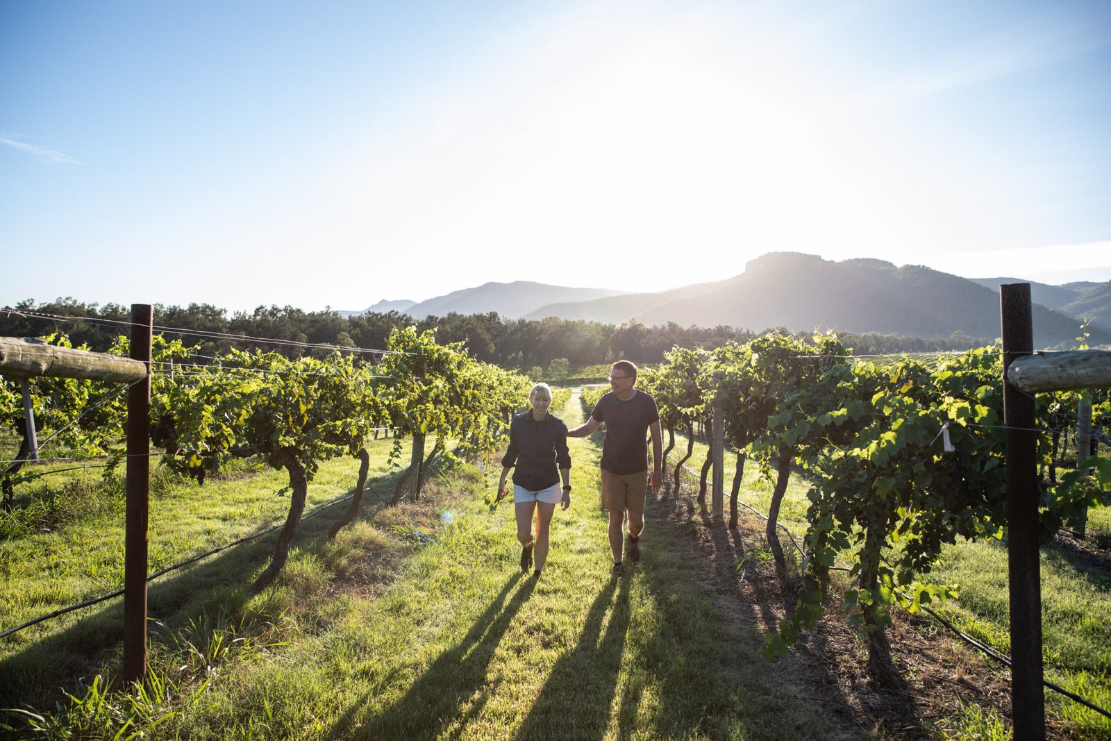 Suzanne and Ian Little in their winery